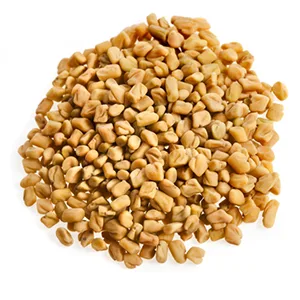 MEETHI DANA